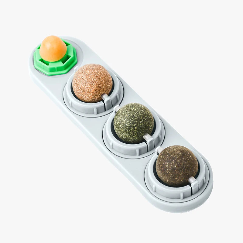 4 Smaken Catnip
