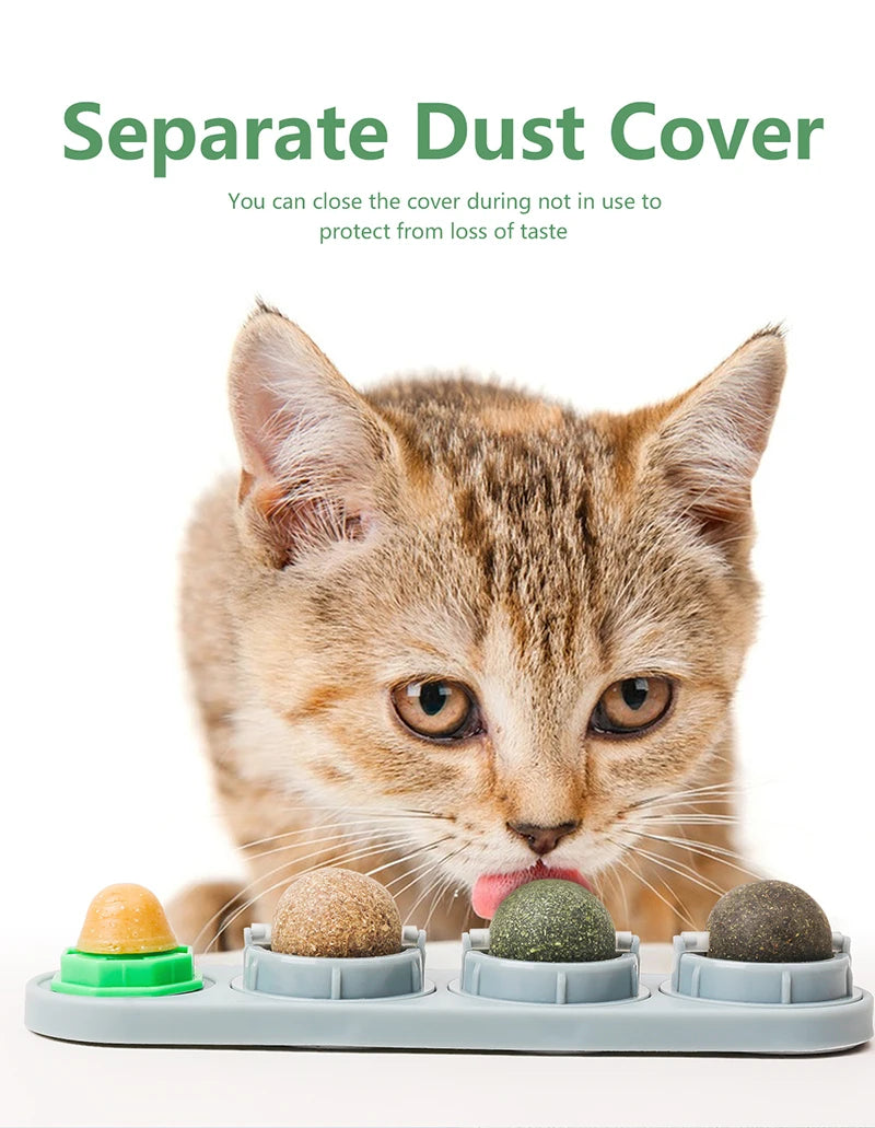 4 Smaken Catnip