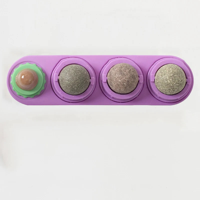 4 Smaken Catnip