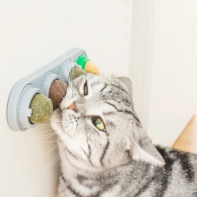 4 Smaken Catnip