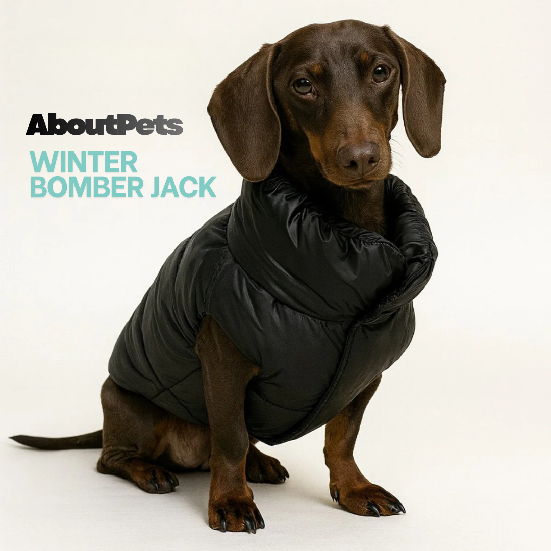 Winter Bomber Jack