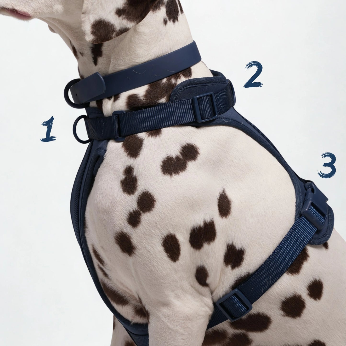 BigPaw 4-delig Harnas Set