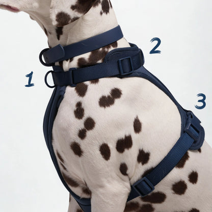 BigPaw 4-delig Harnas Set