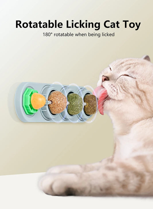 4 Smaken Catnip