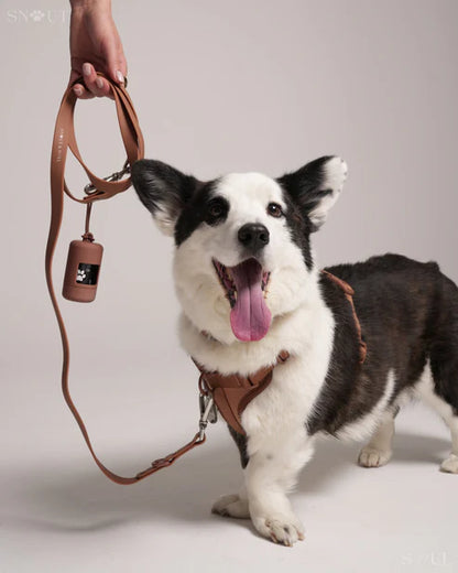 BigPaw 4-delig Harnas Set