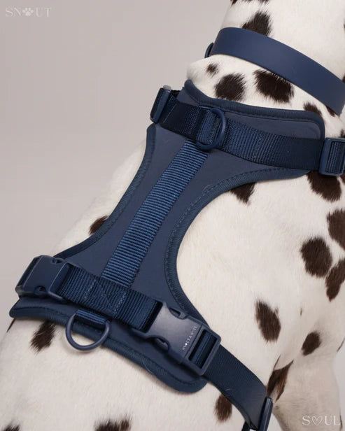 BigPaw 4-delig Harnas Set