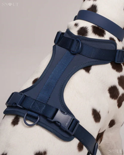 BigPaw 4-delig Harnas Set