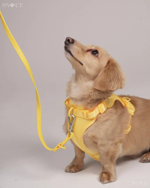 BigPaw 4-delig Harnas Set